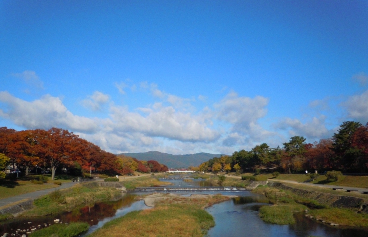 f:id:rakutyuhime:20191130233808j:plain f:id:rakutyuhime:20191130233808j:plain