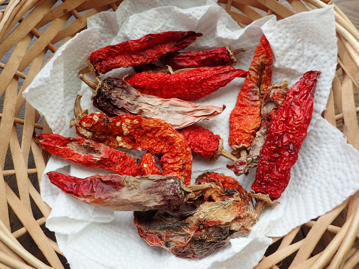 激辛 辣妹子 青唐辛子 13kg長野県産 【露地栽培】自然成熟 激辛 辣妹子 青唐辛子 13kg長野県産 【露地栽培】自然成熟