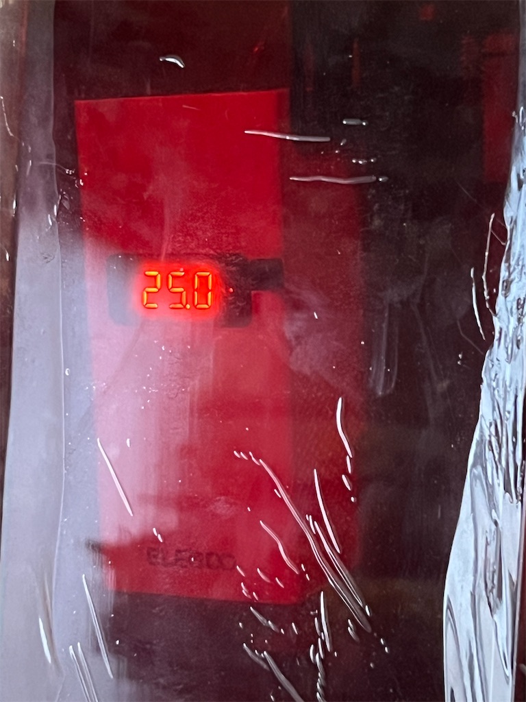 f:id:rallyjapan2010:20260120101848j:image