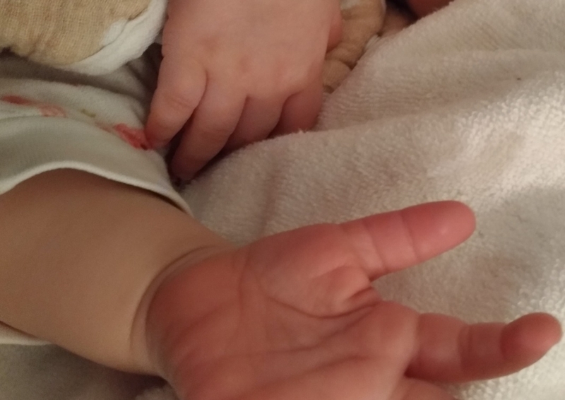 f:id:ralsaku:20180307210755:plain:w400 f:id:ralsaku:20180307210755:plain:w400