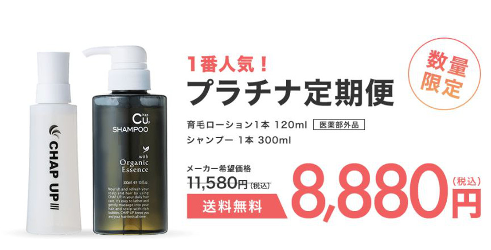 f:id:rambut03:20181022165640j:plain