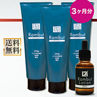 f:id:rambut03:20181022165750j:plain