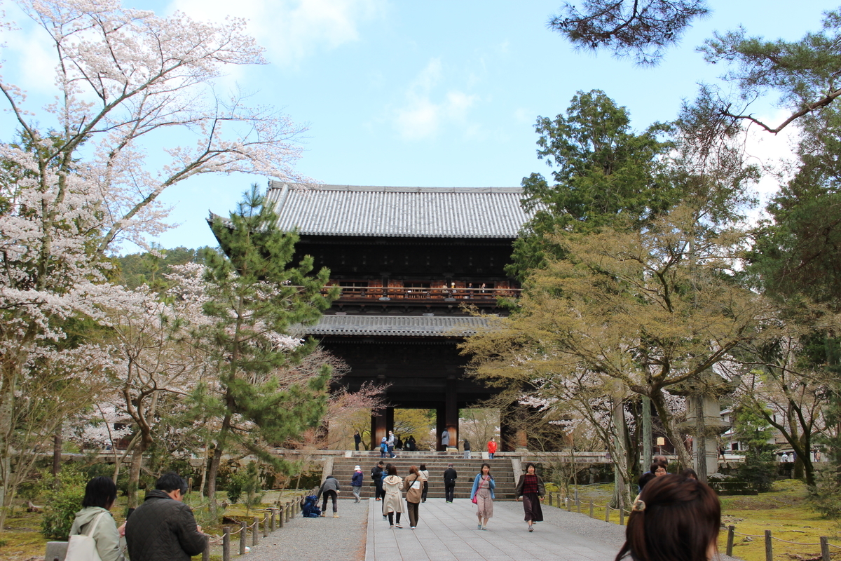 f:id:ramen-engineer:20200330194230j:plain f:id:ramen-engineer:20200330194230j:plain
