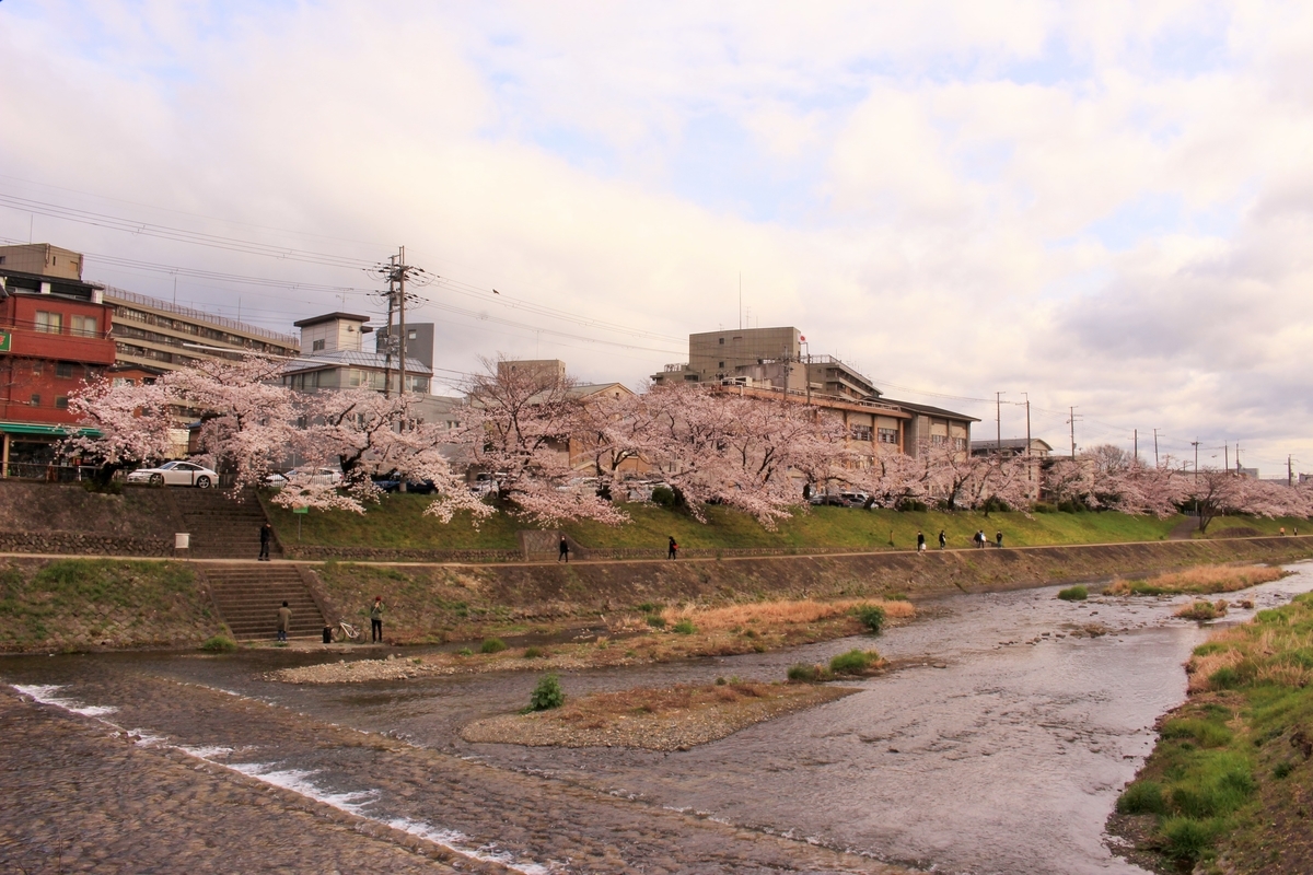 f:id:ramen-engineer:20200404162657j:plain f:id:ramen-engineer:20200404162657j:plain