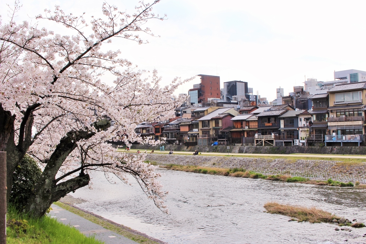 f:id:ramen-engineer:20200404170206j:plain f:id:ramen-engineer:20200404170206j:plain