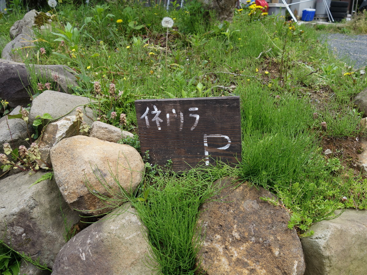 f:id:ramen-zombie:20190502113950j:plain