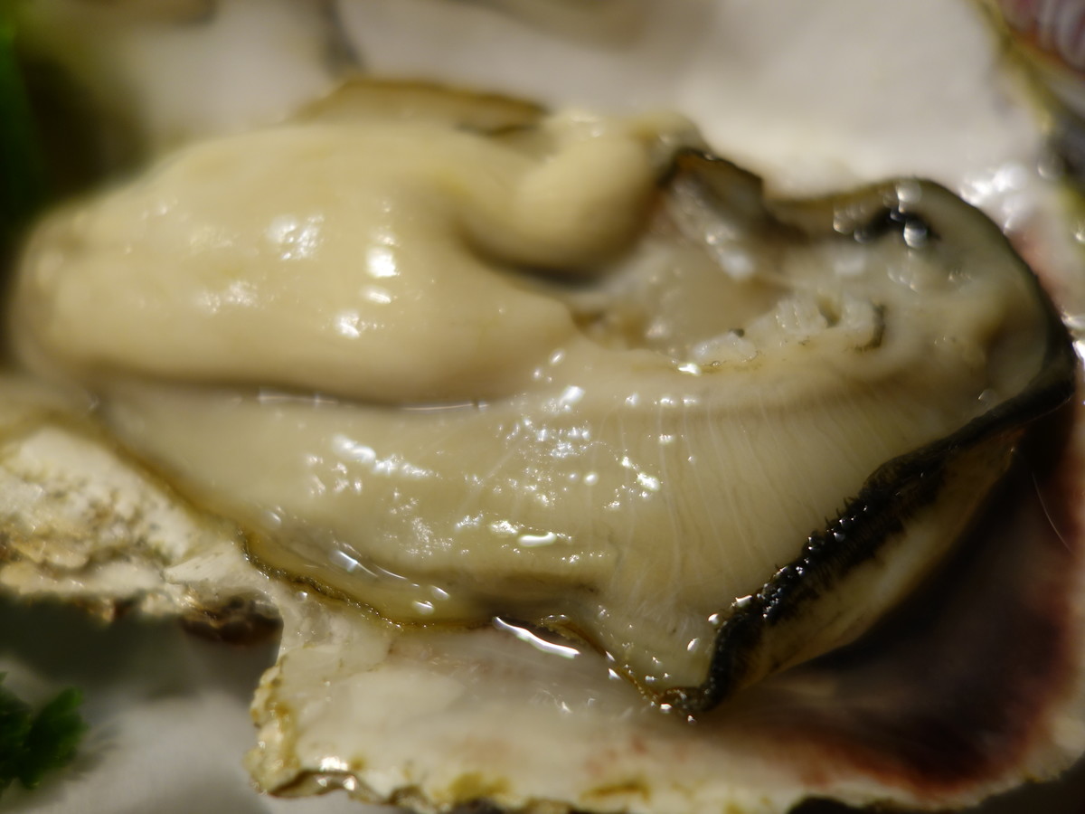 f:id:ramen-zombie:20190804190631j:plain