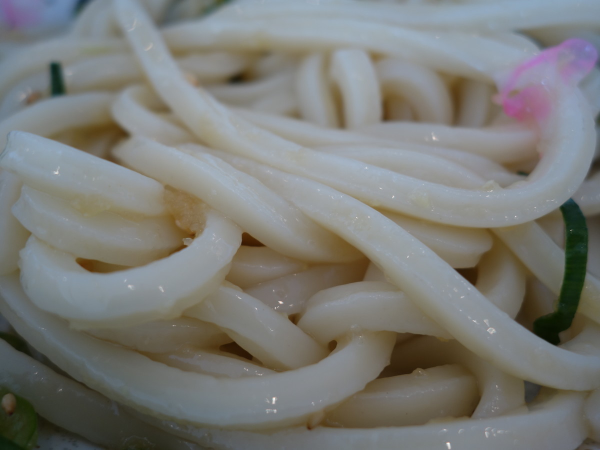 f:id:ramen-zombie:20210228110025j:plain