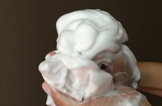 f:id:ramenlove0220:20180109085423j:plain