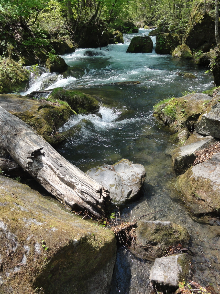 f:id:ramens11:20200414131739j:plain