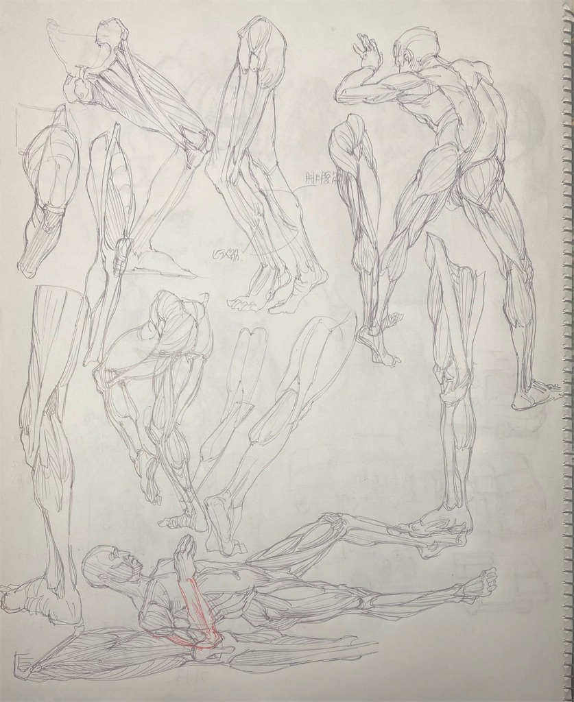 f:id:ramens11:20231229225142j:image