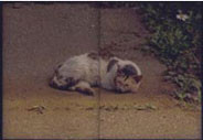 f:id:rami17:20100809080709j:image f:id:rami17:20100809080709j:image