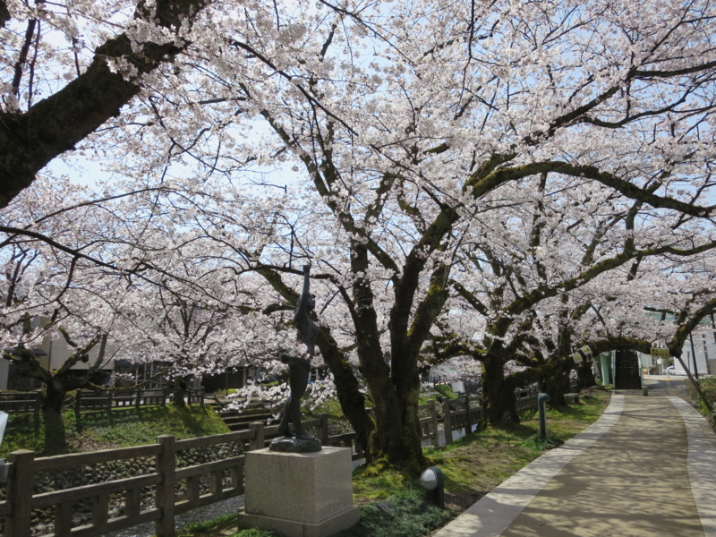 f:id:ramitdown:20160406114939j:image f:id:ramitdown:20160406114939j:image