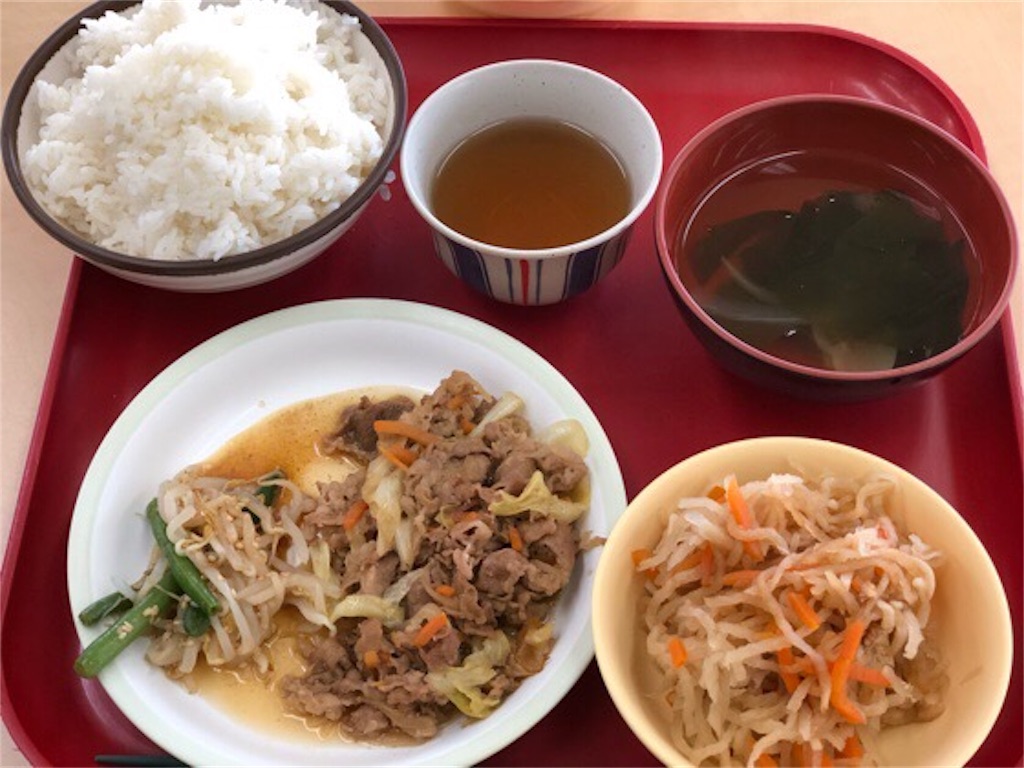 f:id:rammaru-kokaishi:20190601002102j:image