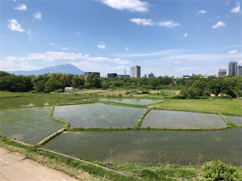 f:id:rammaru-kokaishi:20190603082009j:image