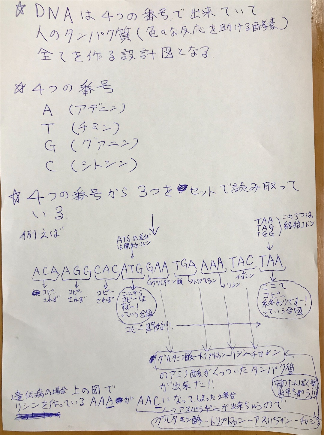 f:id:ramnekun:20200224105749j:image f:id:ramnekun:20200224105749j:image