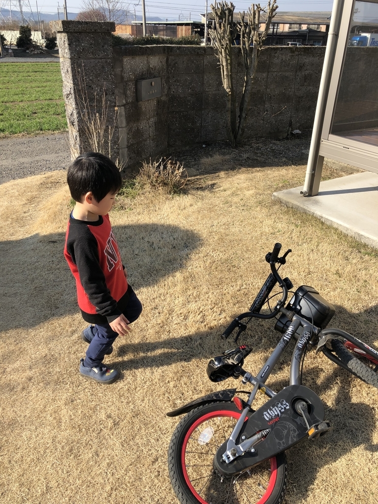 f:id:rampus:20190224210519j:plain f:id:rampus:20190224210519j:plain