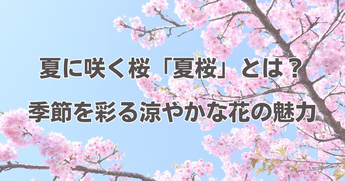 夏に咲く桜「夏桜」とは？季節を彩る涼やかな花の魅力 - くらしの音色