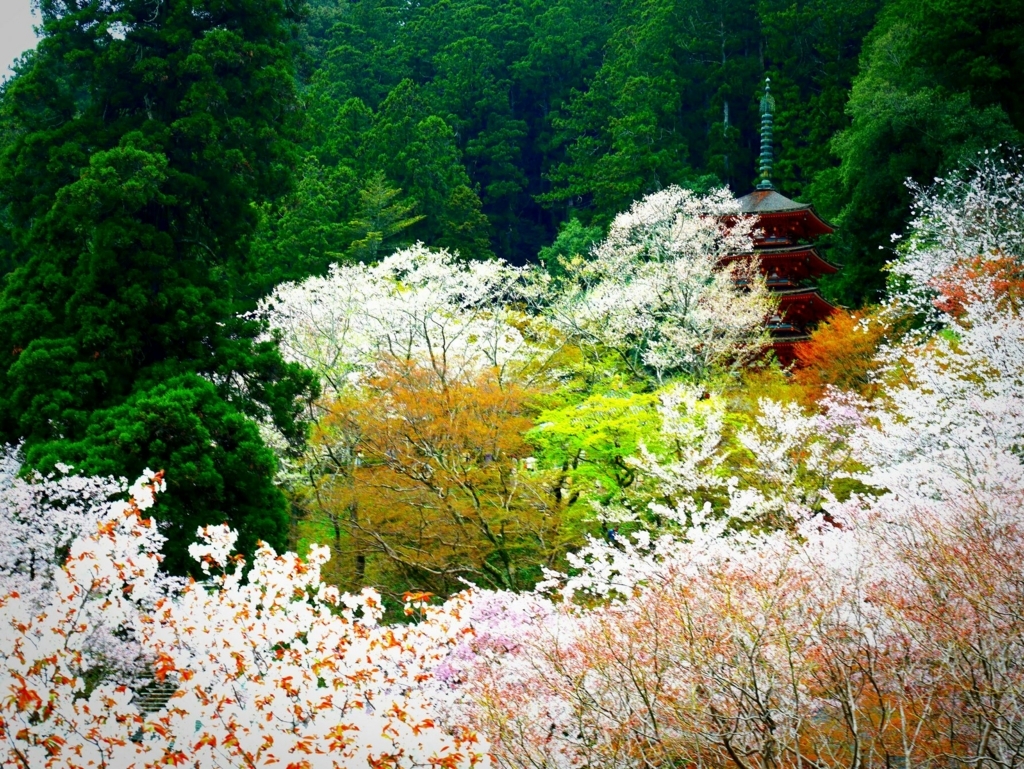 f:id:rana752:20180326220955j:plain f:id:rana752:20180326220955j:plain