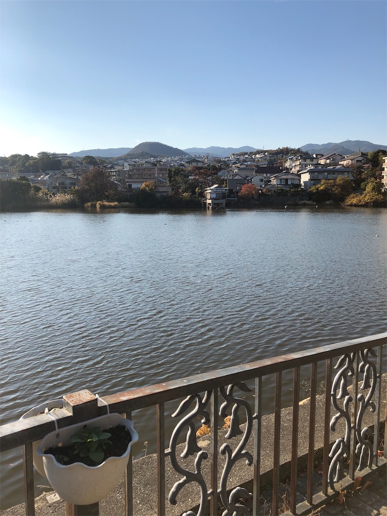 f:id:ranangel:20191204071918j:image