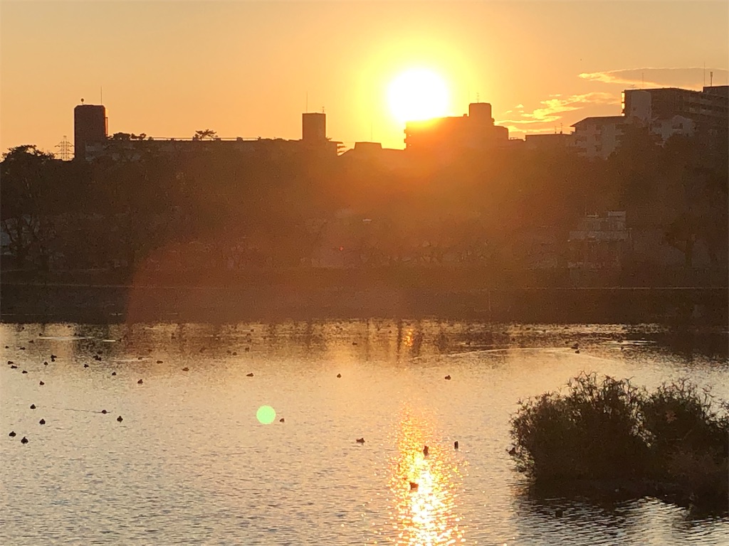 f:id:ranangel:20191228091424j:image