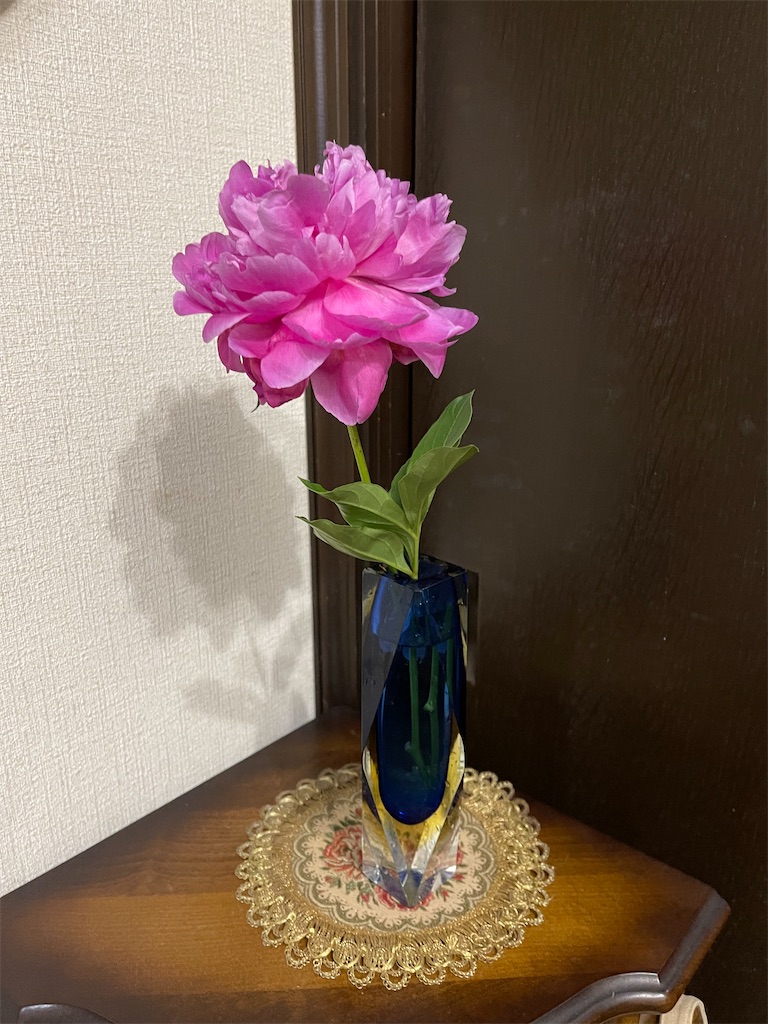 f:id:ranangel:20230613231442j:image