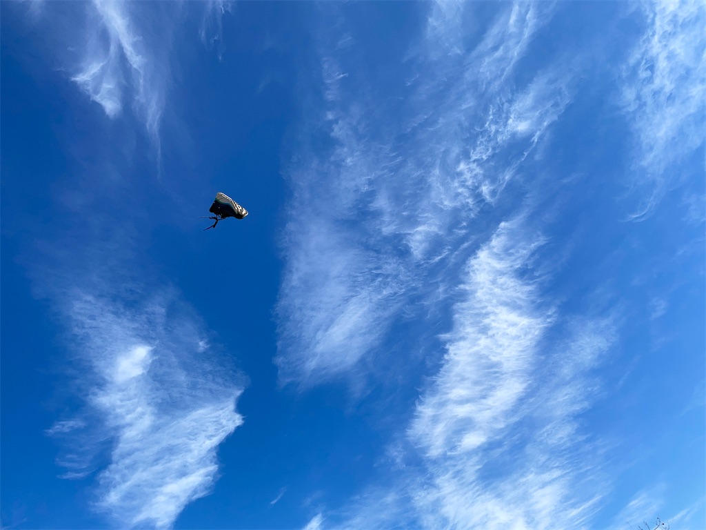 f:id:rancho_ironman:20210105151302j:image