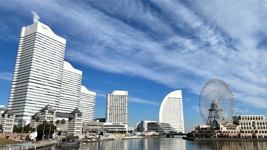 f:id:rancho_ironman:20210105151313j:image