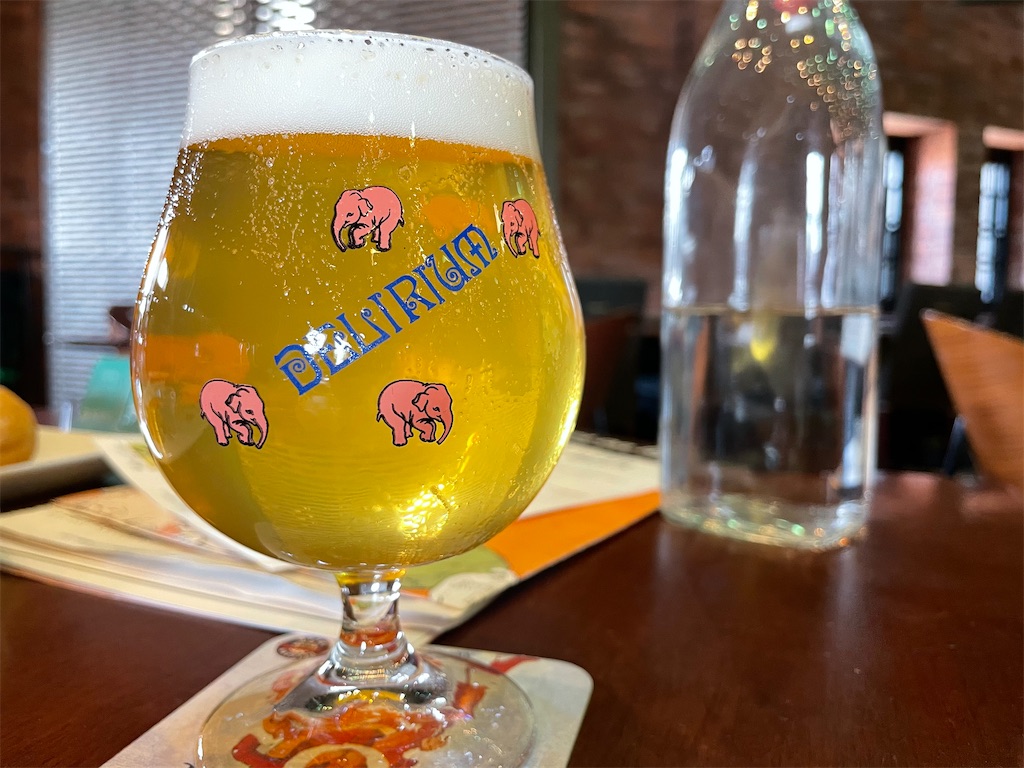 f:id:rancho_ironman:20210105151852j:image