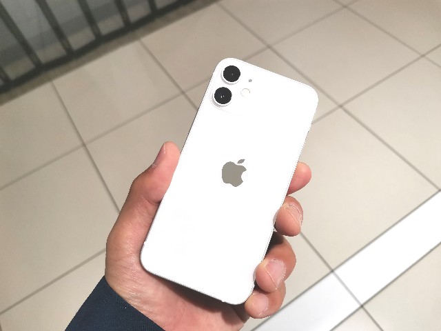 f:id:rancho_ironman:20210112192307j:plain