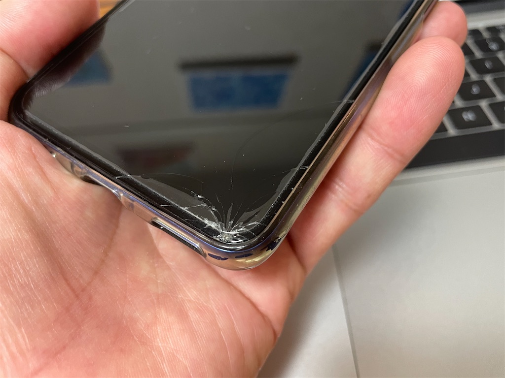 f:id:rancho_ironman:20210115214044j:image