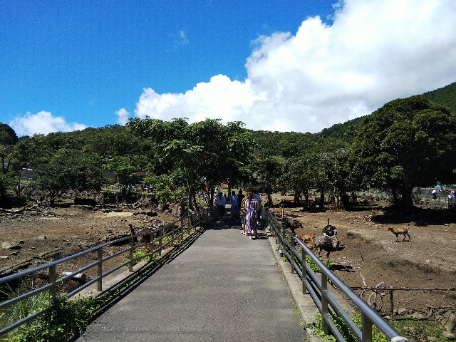 f:id:ranchou:20200913090817j:image f:id:ranchou:20200913090817j:image