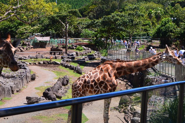 f:id:ranchou:20200913090848j:image f:id:ranchou:20200913090848j:image