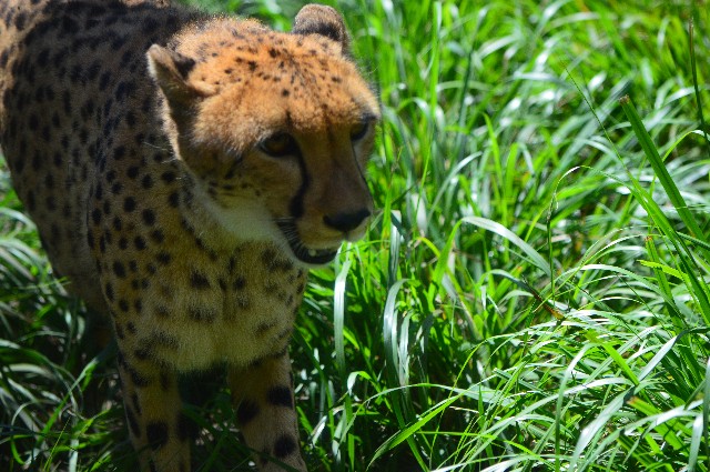 f:id:ranchou:20200913091714j:image f:id:ranchou:20200913091714j:image