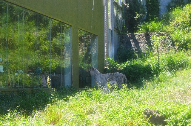 f:id:ranchou:20200913091910j:image f:id:ranchou:20200913091910j:image