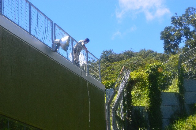 f:id:ranchou:20200913091953j:image f:id:ranchou:20200913091953j:image