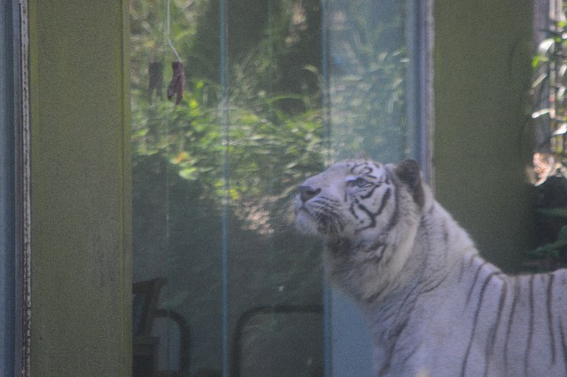 f:id:ranchou:20200913092122j:image f:id:ranchou:20200913092122j:image