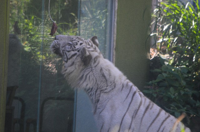 f:id:ranchou:20200913092142j:image f:id:ranchou:20200913092142j:image