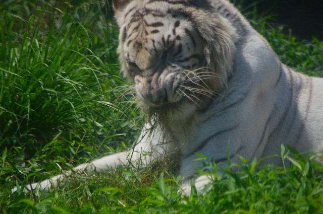 f:id:ranchou:20200913092336j:image f:id:ranchou:20200913092336j:image