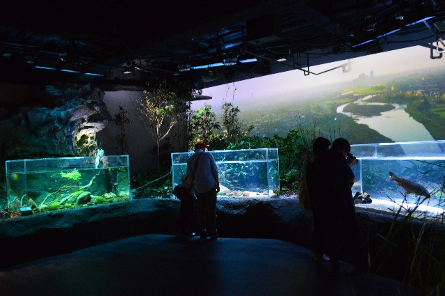 f:id:ranchou:20201014231452j:image