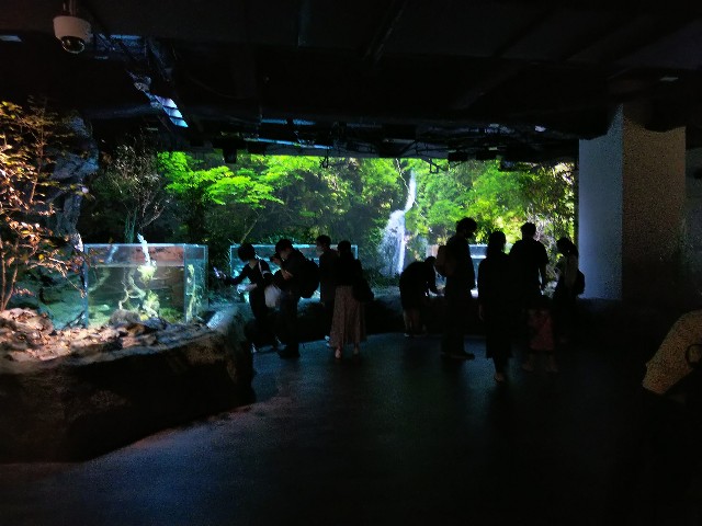 f:id:ranchou:20201014231504j:image