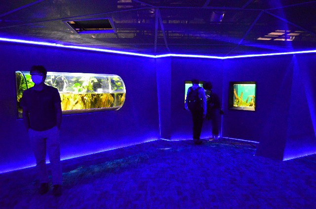 f:id:ranchou:20201014231626j:image