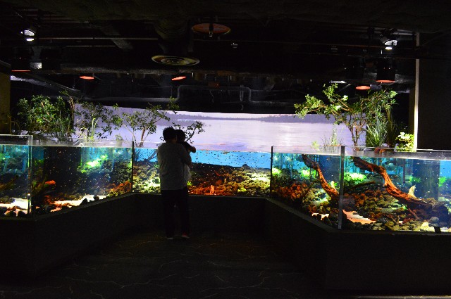 f:id:ranchou:20201014231703j:image