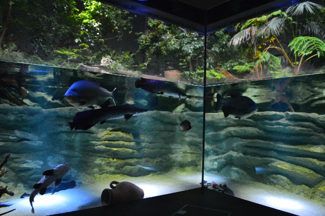 f:id:ranchou:20201014231846j:image