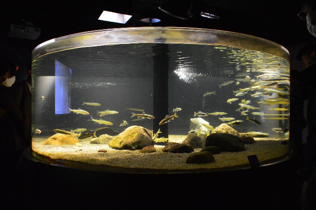 f:id:ranchou:20201014232058j:image