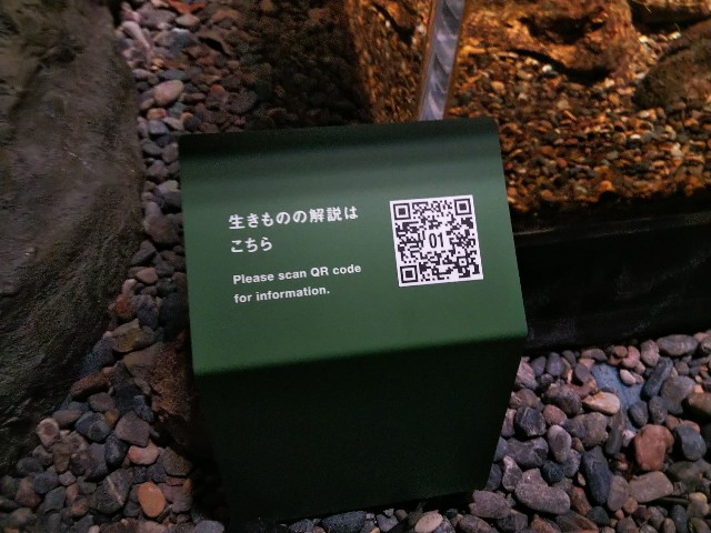 f:id:ranchou:20201014232200j:image