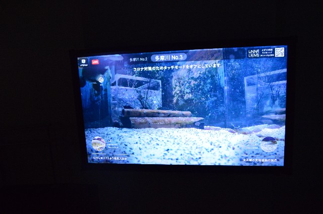 f:id:ranchou:20201014233333j:image