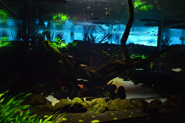 f:id:ranchou:20201014234304j:image