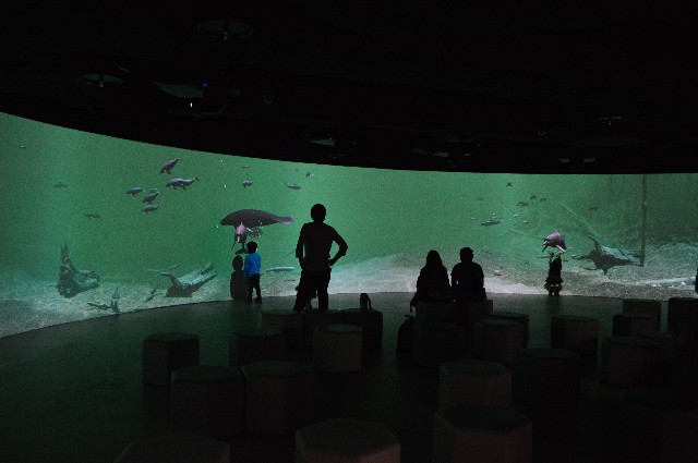 f:id:ranchou:20201014234657j:image