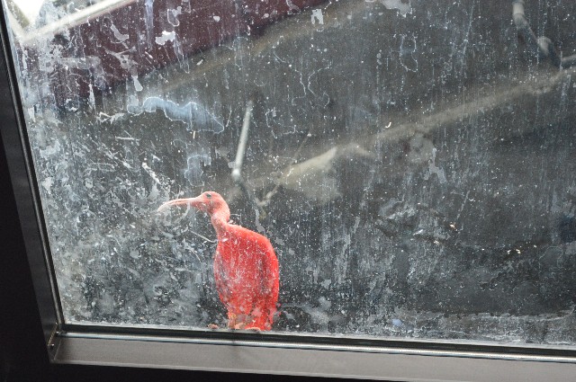 f:id:ranchou:20201014235433j:image